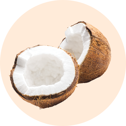 Coconut