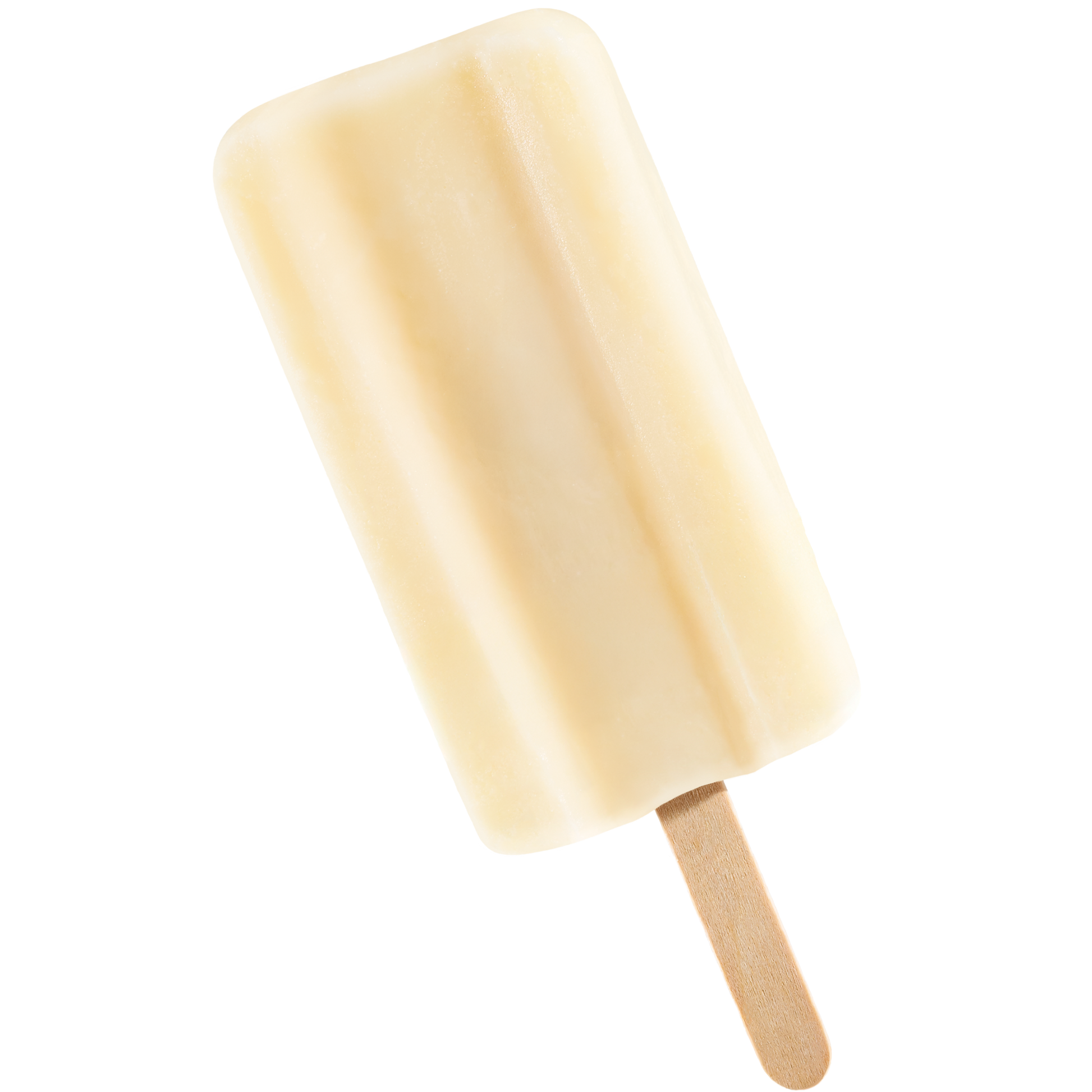 Coco Coconut Paleta 6-Pack